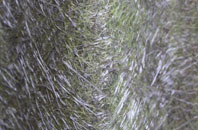 Littleworth Common fibreglass roof work